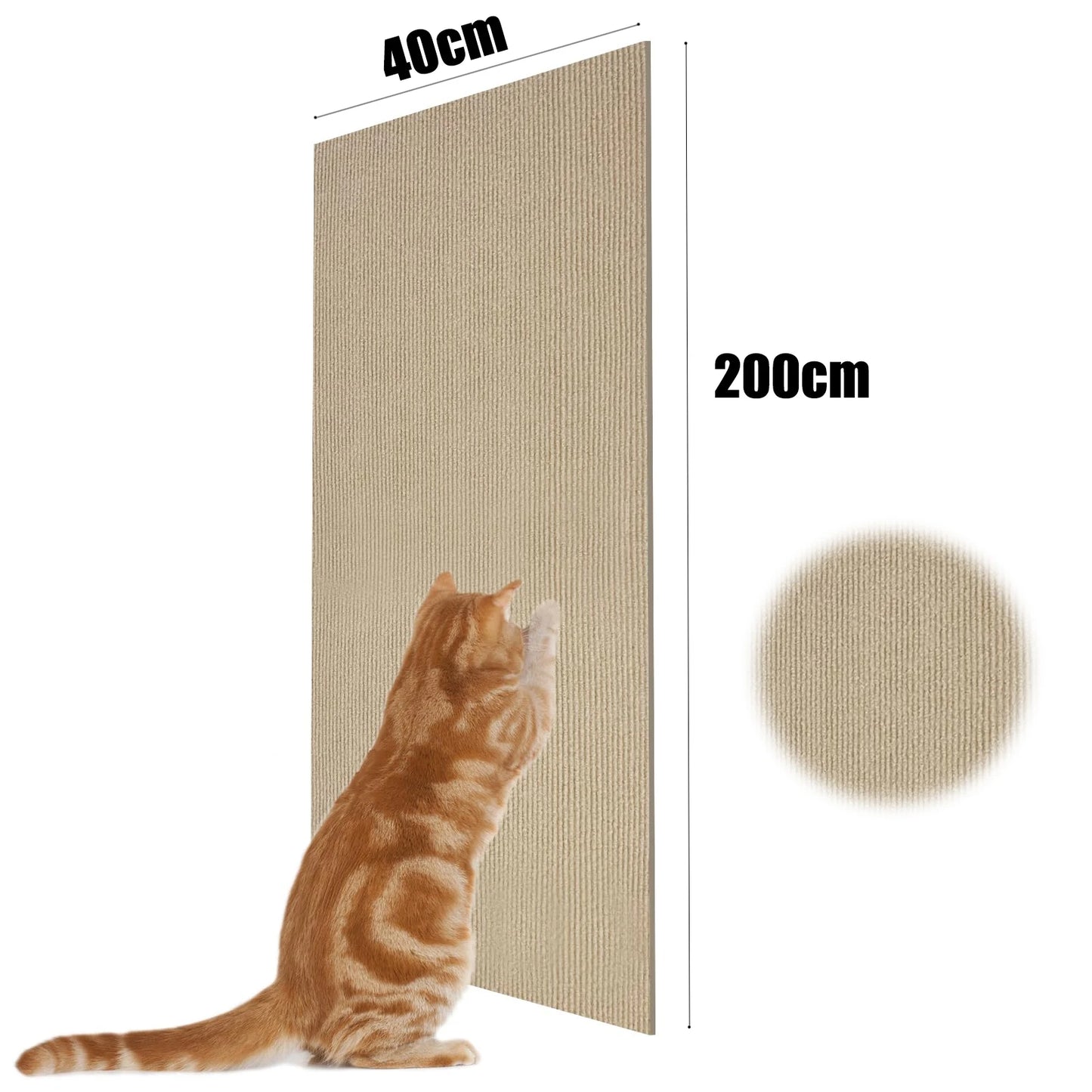 S54c1b1c93d674ce5952547ebe453fad5y